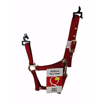 GAMARRON VALHOMA Q CON TRABADOR PARA POTRO 2-30 QS