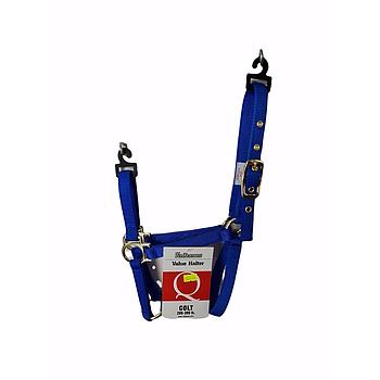 GAMARRON VALHOMA Q PARA POTRO 2-30 Q