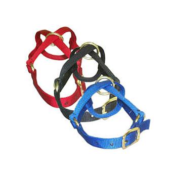 GAMARRON VALHOMA PARA CABRA NANNY GHN