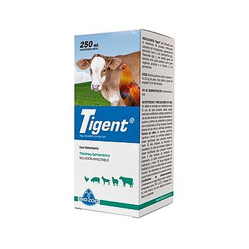 TIGENT