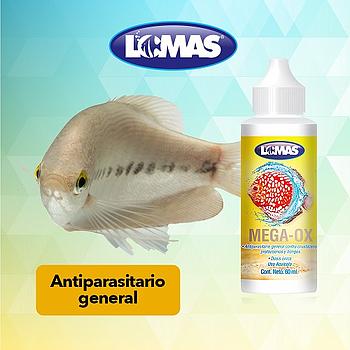 LOMAS MEGA-OX 60 ML