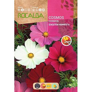 SEMILLA COSMOS ROCALBA 10G