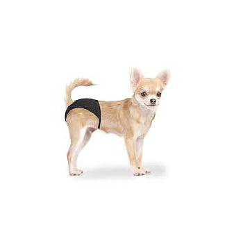 CALZONES PARA MASCOTAS PET LOVERS