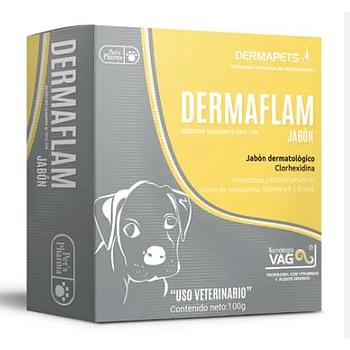 JABON DERMAFLAM 100 GRS