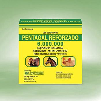 PENTAGAL 6,000,000