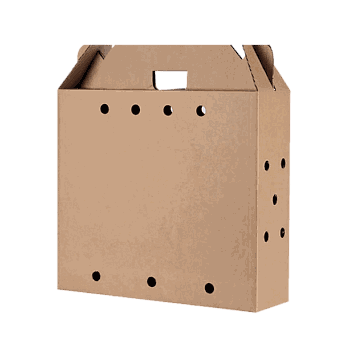 CAJA PARA GALLO ECONOMICA