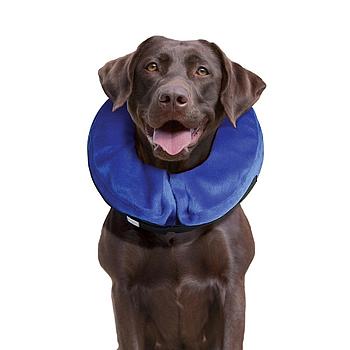 KONG E-COLLAR CLOUD (COLLAR ISABELINO INFLABLE)