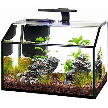 ACUARIO KIT LED PARA CAMARONES 8.75 GALONES