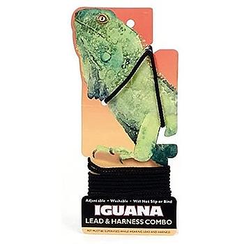 ARNES PARA IGUANA NEGRA