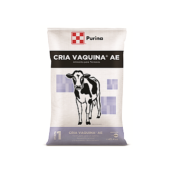 CRIA VAQUINA AE CHK